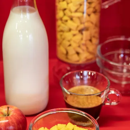 Hotelf1 Lyon Sud Renove * Oullins